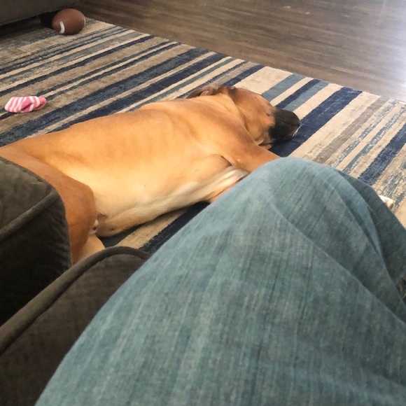 Meet your Posher, Dario - Picture 1 of 1